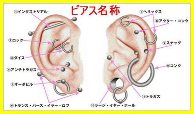 ピアス名称